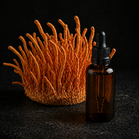 Cordyceps – (Extracto doble 1:5 – 50 ml)